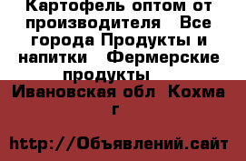 Картофель оптом от производителя - Все города Продукты и напитки » Фермерские продукты   . Ивановская обл.,Кохма г.